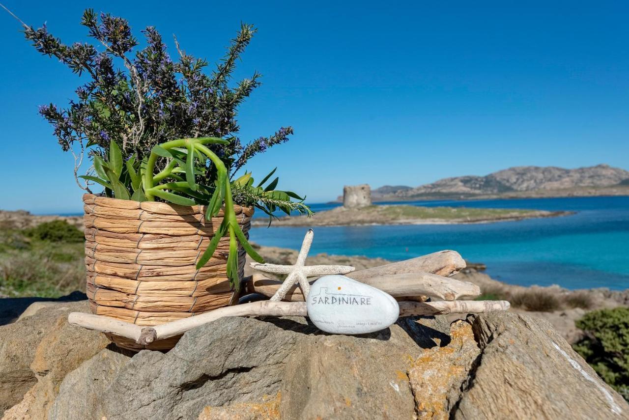 Sardinia Re - Pelosa Stintino