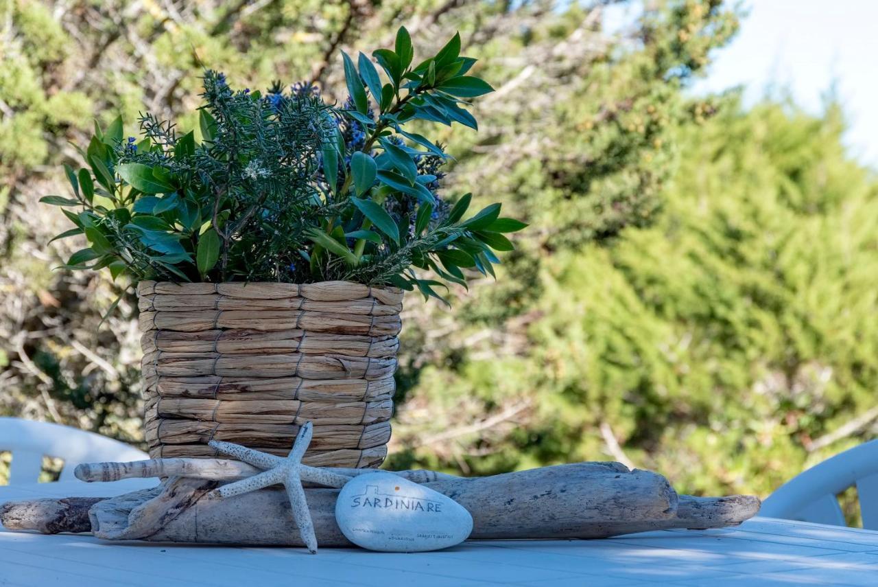 Holiday home Pelosa *