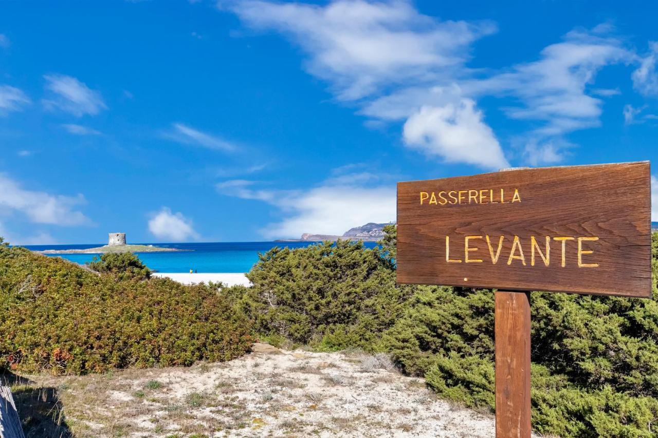 Sardinia Re - Pelosa *
