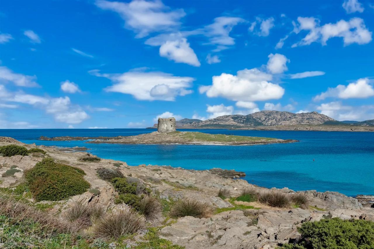 Sardinia Re - Pelosa * Stintino